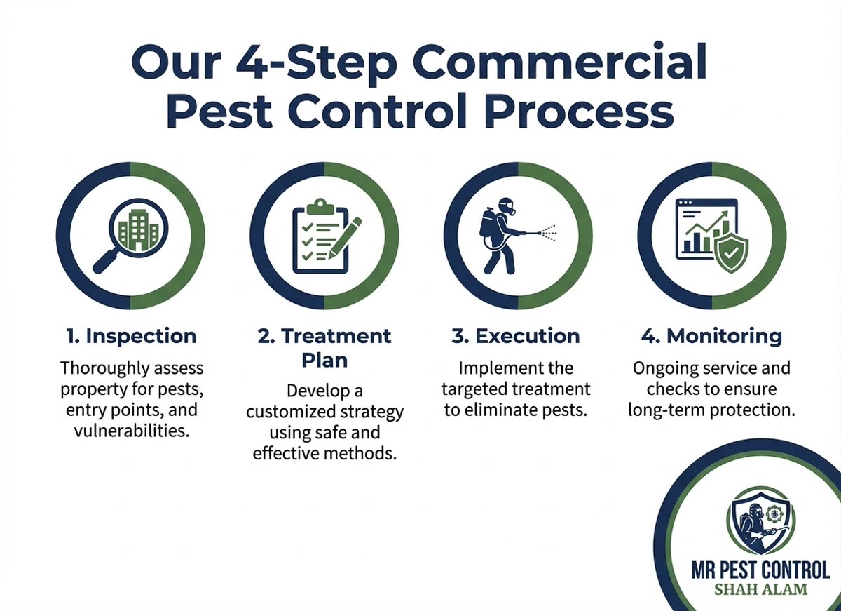 Our 4-Step Commercial Pest Control Process