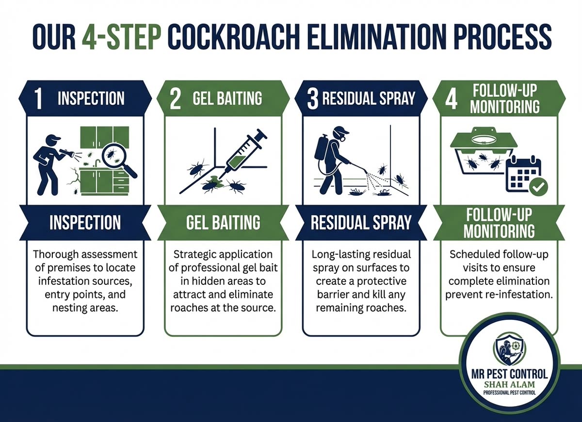 Our 4-Step Cockroach Elimination Process